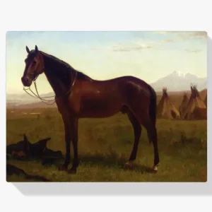 Acheter Direct Schilderen op nummer – Portret van een paard - 40x60cm