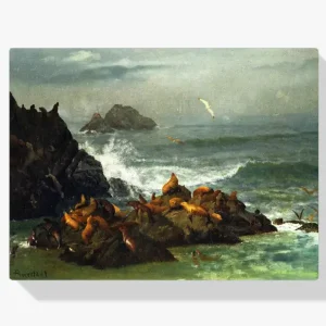Vente Flash Schilderen op nummer – Zeehondenrotsen Stille Oceaan Californië - 90x90cm
