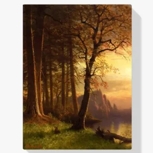 Acheter Direct Schilderen op nummer – Zonsondergang in Californië Yosemite - 40x40cm