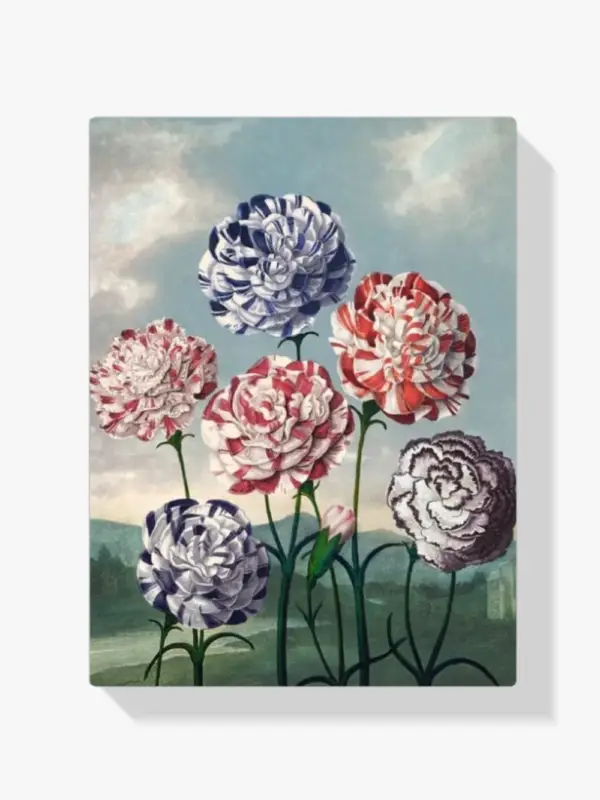 Achat Immédiat Schilderen op nummer – Groep Anjers - 40x50cm