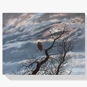 Acheter Direct Schilderen op nummer – Een uil op een kale boom - 30x40cm