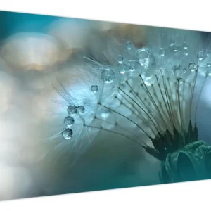 Schilderij - Paardebloem, petrol - Eendelig 120x80 cm Achetez Aujourd’hui