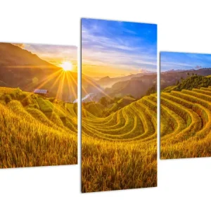 Acheter En Ligne Schilderij - Rijstvelden in Vietnam - Driedelig 90x60 cm