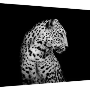 Achat Immédiat Schilderij - Luipaard - Eendelig 70x50 cm