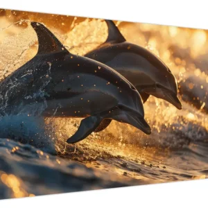 Usine Directe Schilderij - Dolfijnen - Eendelig 120x80 cm