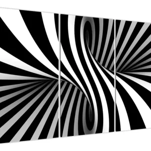 Abstract schilderij - Zebrastrepen - Driedelig 120x80 cm Nouvel Arrivage