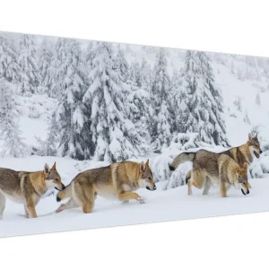 Achat Immédiat Schilderij - Wolven in de bergen - Eendelig 120x50 cm