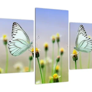 Soldes Schilderij - Vlinders op bloem - Driedelig 90x60 cm