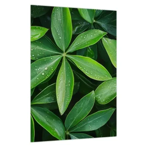 Seulement Aujourd’hui Schilderij - Bladeren met dauwdruppels - Eendelig 30x40 cm