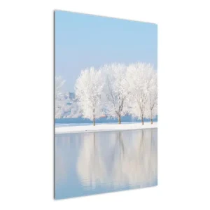 Acheter En Ligne Schilderij - Winterlandschap - Eendelig 60x90 cm