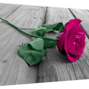 Seulement Aujourd’hui Schilderij - Roze roos met groene steel - Eendelig 70x50 cm