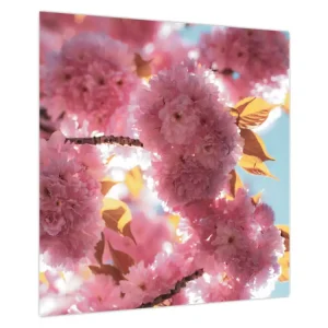 Usine Directe Schilderij - Kersenbloesem - Eendelig 50x50 cm