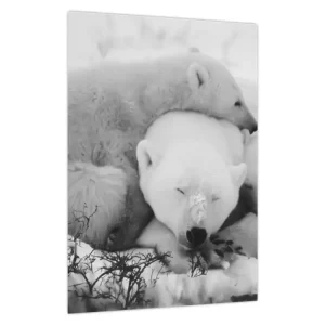 Super Prix Schilderij - IJsberen - Eendelig 30x40 cm