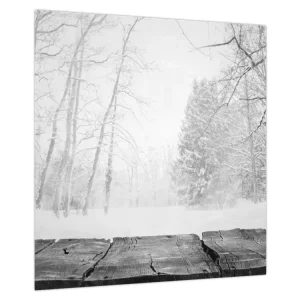 Schilderij - Houten pier in de winter - Eendelig 40x40 cm Usine Directe