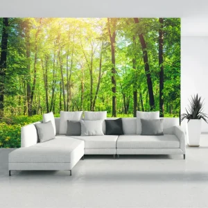 Acheter En Ligne Fotobehang - Bos