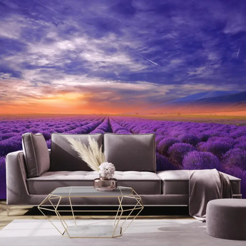 Promotion Fotobehang - Lavendelveld