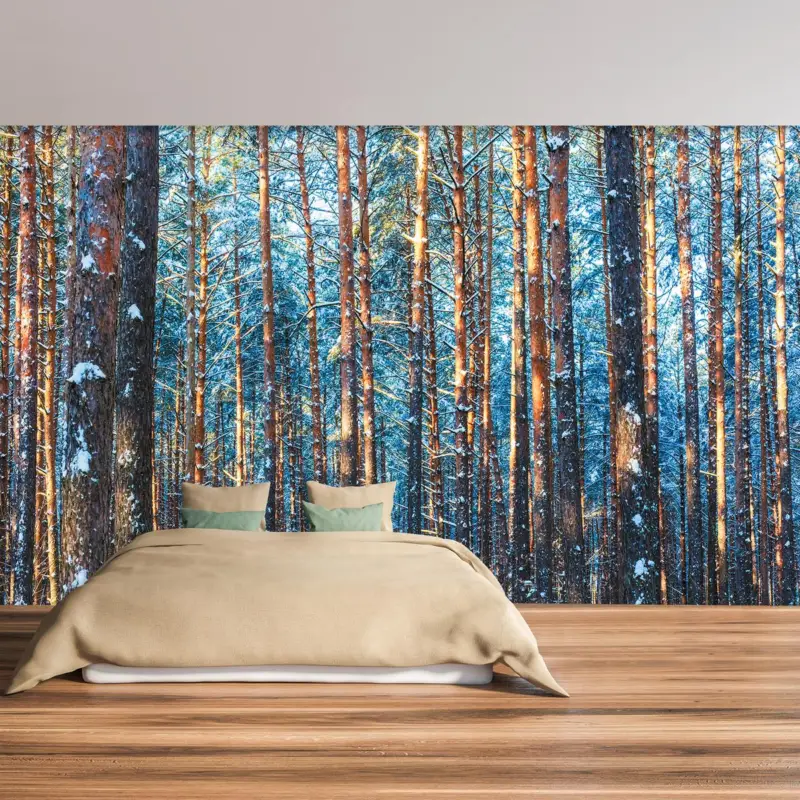 Produit De Marque Fotobehang - Winterbos