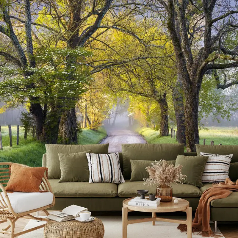 Quantité Limitée Fotobehang - Smoky Mountains, Gatlinburg, VS