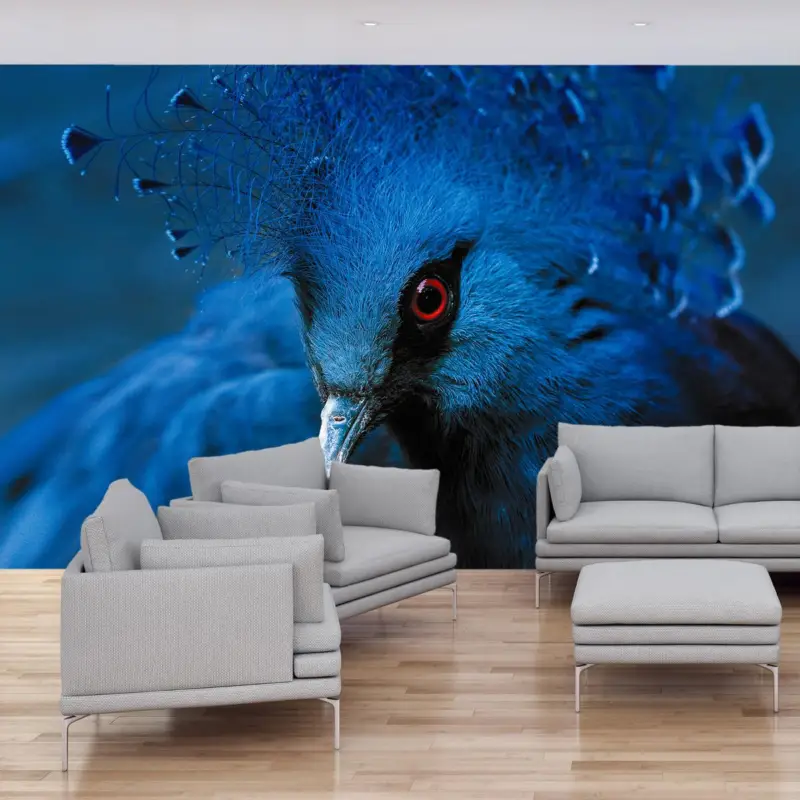 Acheter Direct Fotobehang - Kroonduif