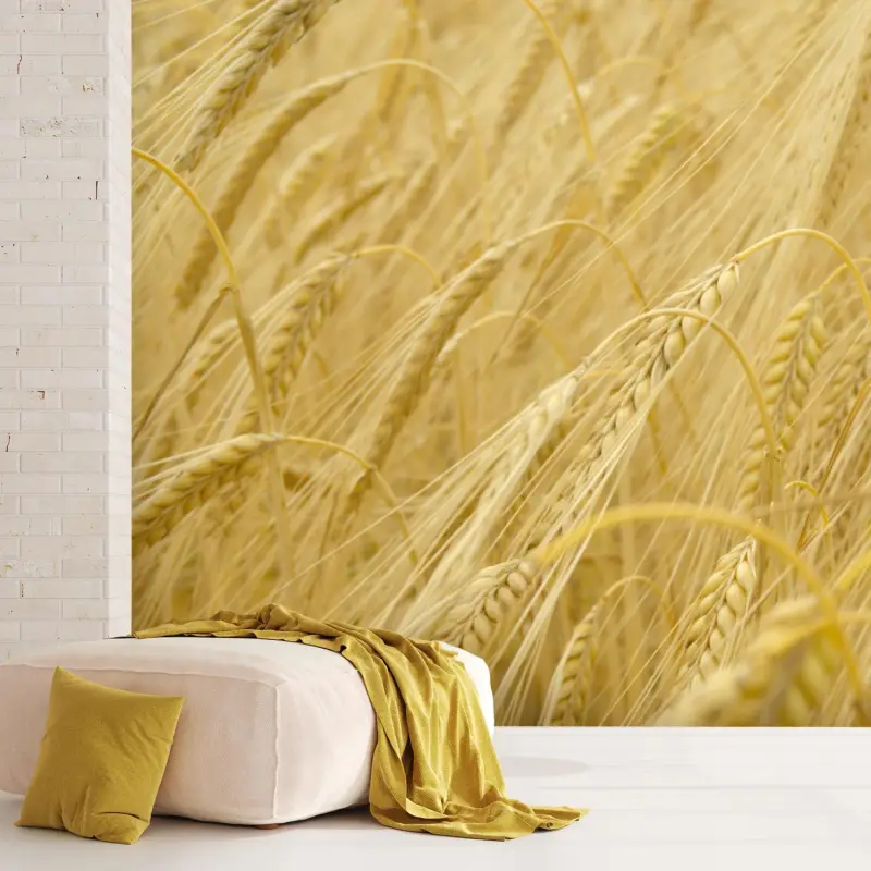 Satisfait Ou Remboursé Fotobehang - Graan