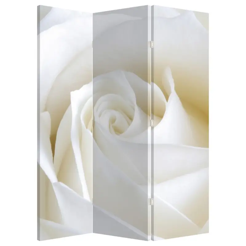 Acheter En Ligne Kamerscherm - Witte roos