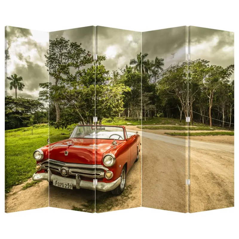 Marque Kamerscherm - Veteraan auto in de natuur