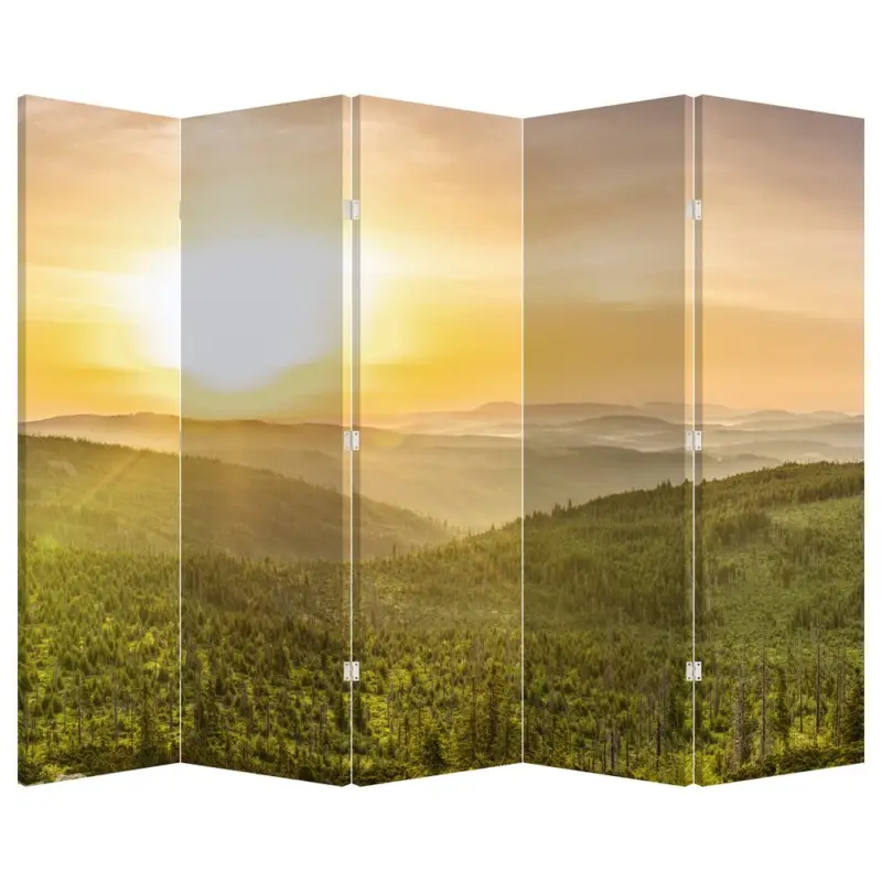 Acheter Direct Kamerscherm - Panorama