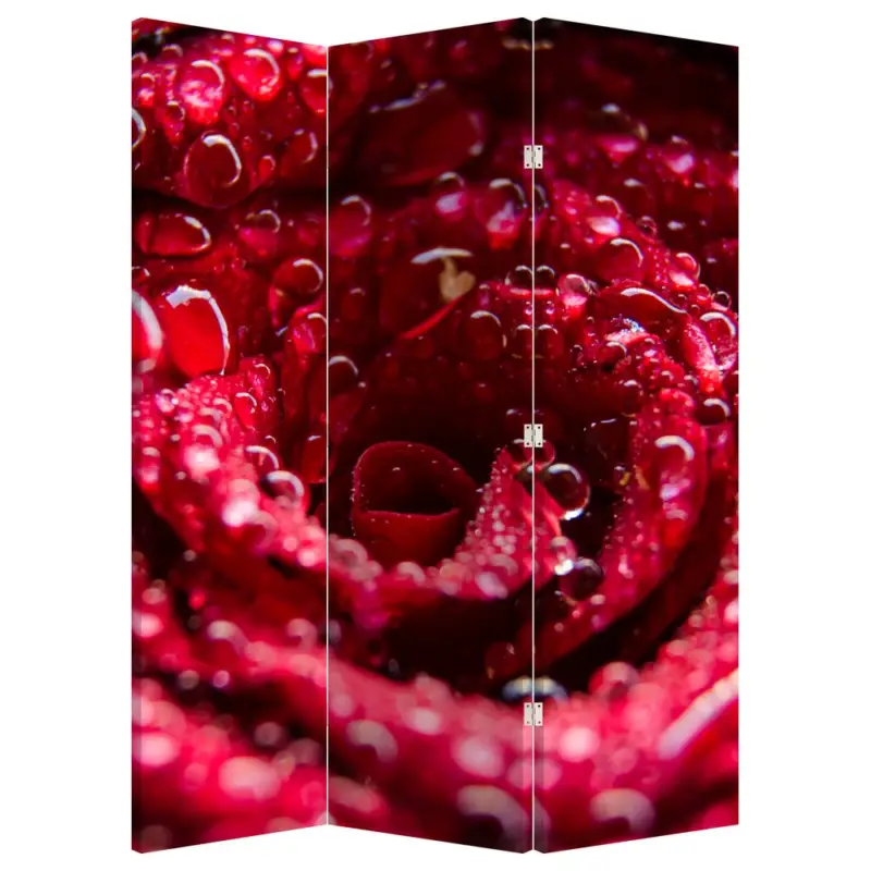 Acheter En Ligne Kamerscherm - Rode roos