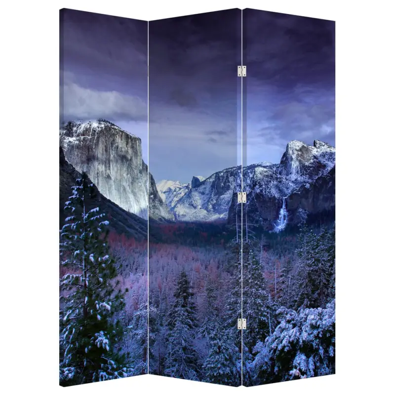 Achat Immédiat Kamerscherm - Winterlandschappen