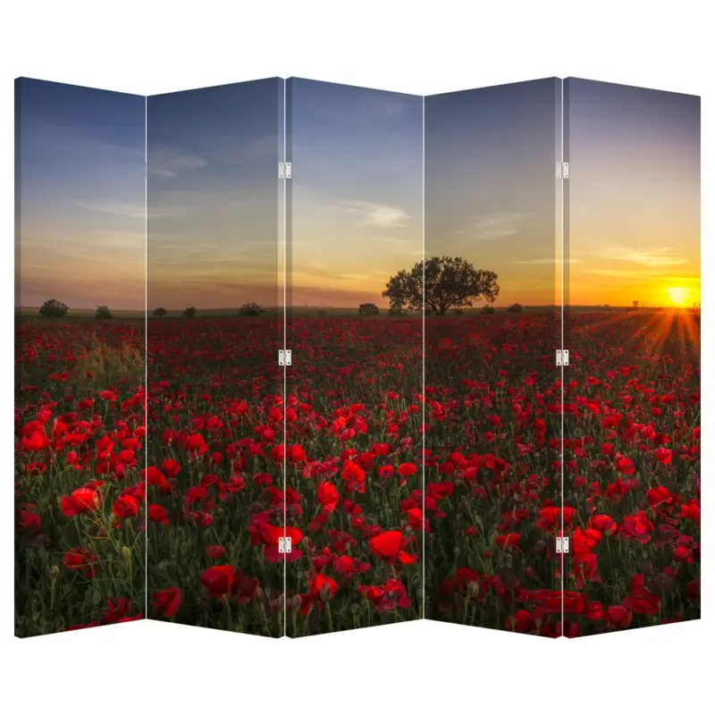 Authentique Kamerscherm - Weiland met klaprozen