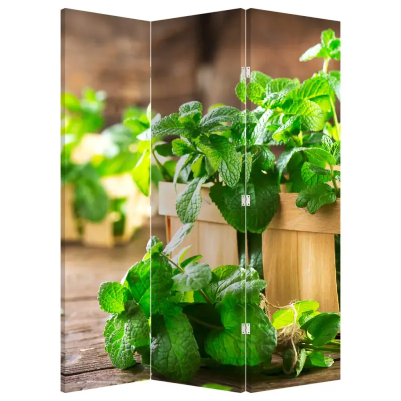 Acheter Direct Kamerscherm - Verse munt