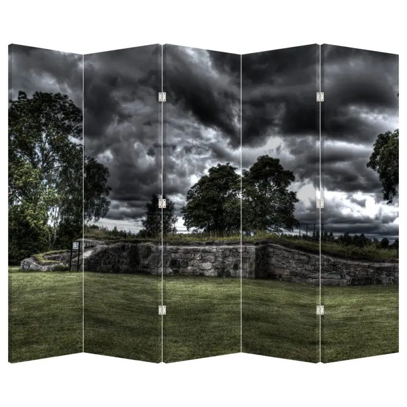 Vente Flash Kamerscherm - Bewolkte hemel