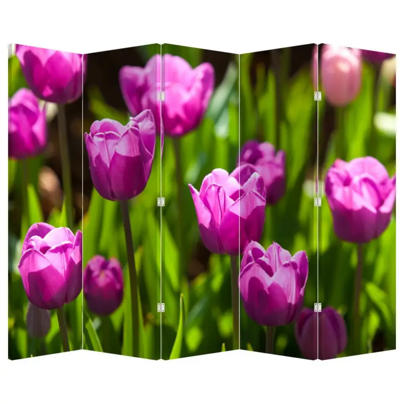 Seulement Aujourd’hui Kamerscherm - Weiland met tulpen