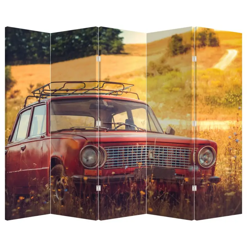 Acheter En Ligne Kamerscherm - Auto in veld