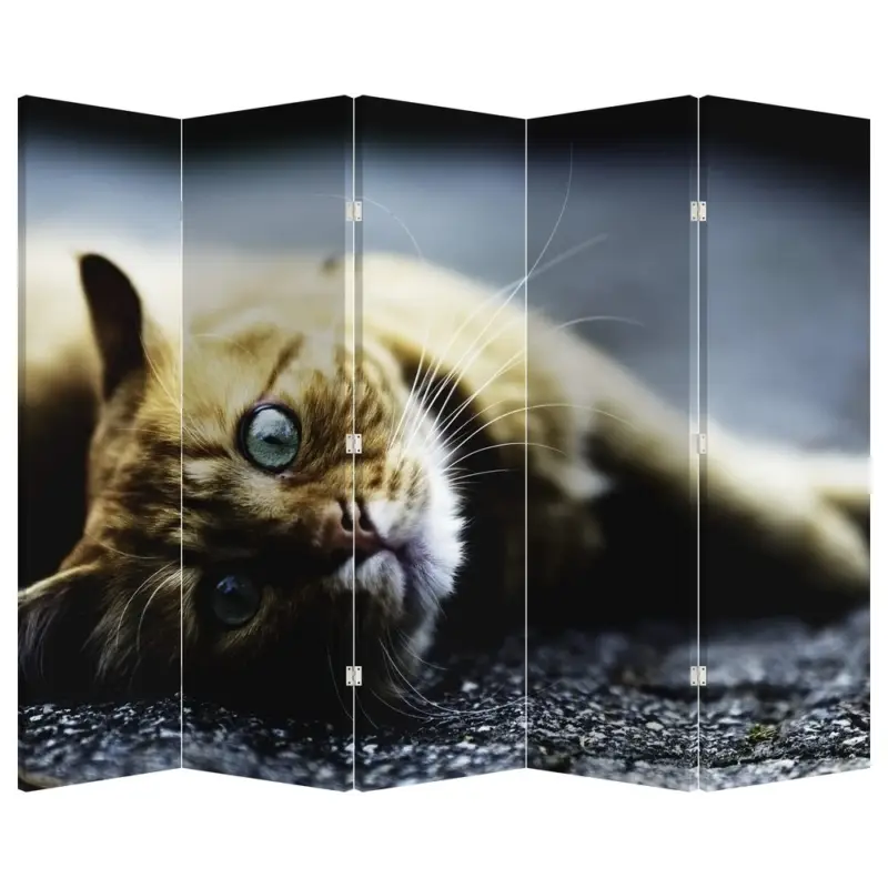 Solde Kamerscherm - Poes