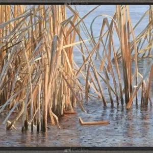 Zoek dekking - waterral - op-rol Prix Bas