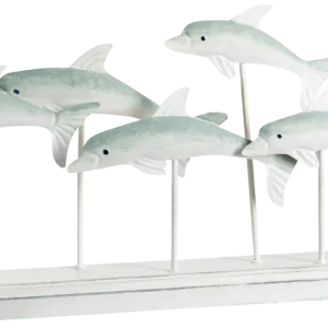 Beeld "Dolphin Journey" Seulement Aujourd’hui