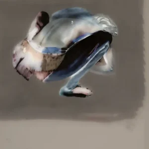 Living in a world of fools Populaire