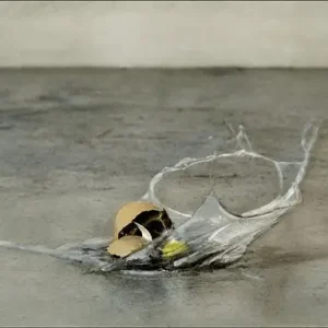 Meilleur Choix Zonder titel 1