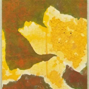 Cutout series #3 Paiement Sécurisé