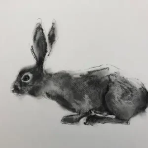 Livraison Gratuite Dotjes en donsjes: 't haasje