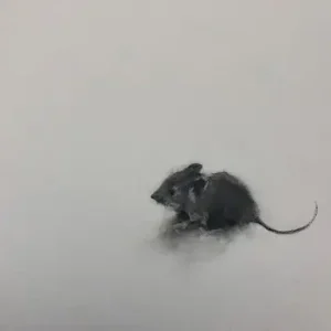 Dotjes en donsjes: Oei een muis in huis Réduction