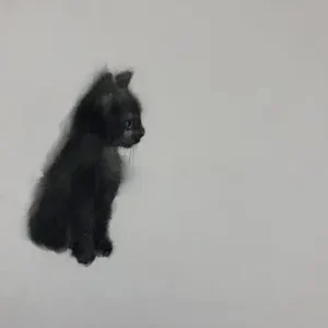 Dotjes en donsjes: Poes 2 Nouvelle Collection