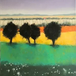 Feeling Quantité Limitée