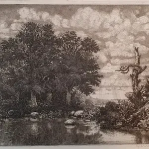 Landschap Vente Flash