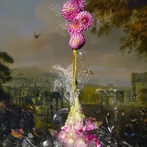 Withoos meets Withoos Explosive growth Bon Plan