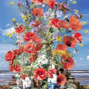 Still life by the sea Offre Spéciale