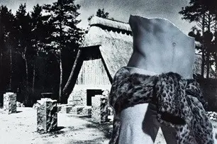 Wild Thing Expédié Aujourd’hui