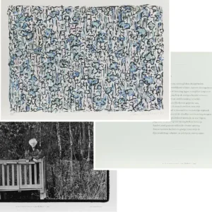 Vente Flash Winterbeeld IV zeefdruk bundel