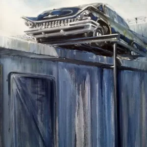 Authentique Buick '59 op dak van woonboot in de Amstel bij Utrechtsebrug